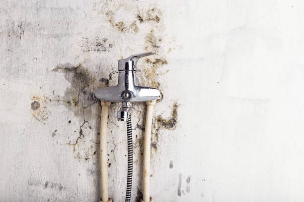Best Mold Testing  in Killian, LA