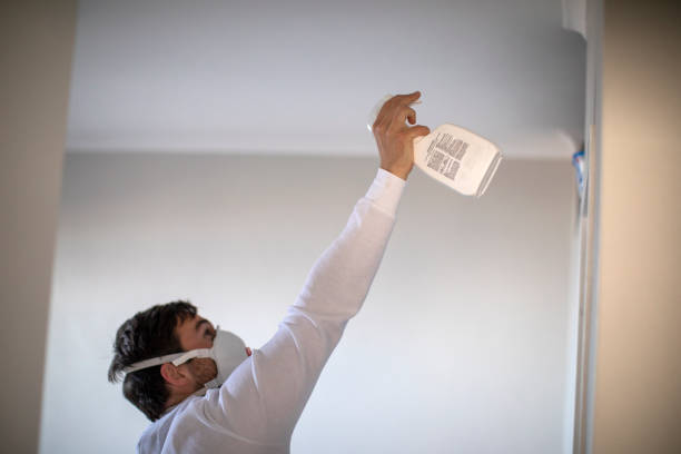 Mold Removal and Inspection in Killian, LA