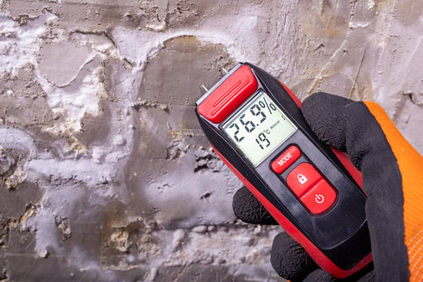 Best Mold Damage Repair  in Killian, LA