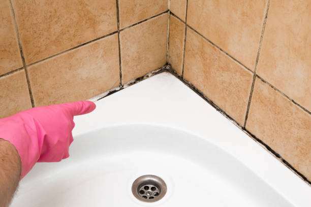 Best Mold Inspection  in Killian, LA